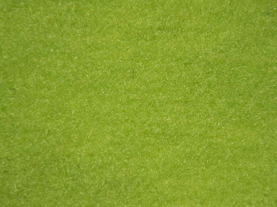 Velours carpet windsor 2m