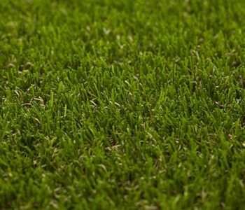 artificial grass elite 6051