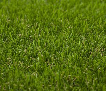 artificial grass wanderlust 6960